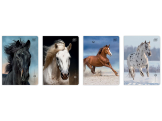 Zeszyt A5 16 kol3= 70g UV Wild Horses [opakowanie=20szt]