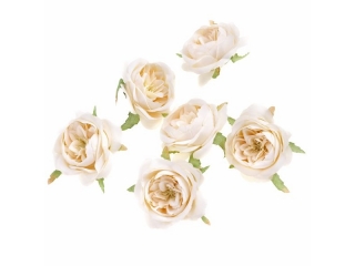 G��WKI KWIATOWE - KAMELIA, 5 CM, 6 SZT., KREMOWY