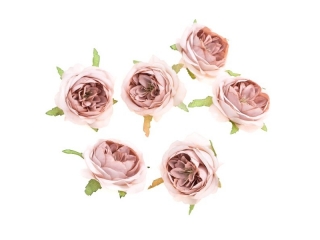 G��WKI KWIATOWE - KAMELIA, 5 CM, 6 SZT., JASNY Rӯ