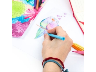 KREDKI SERCA 12 KOLOR�W KIDEA