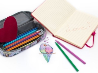 KREDKI SERCA 12 KOLOR�W KIDEA