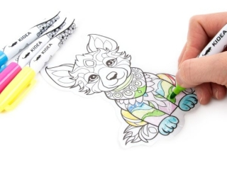 WITRA�E W PISAKU MISIE KIDEA