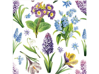 Serwetki POL-MAK Daisy Lunch 33cm 20szt. Garden Flowers Wallpaper SD_WI_009801 [opakowanie=24szt]