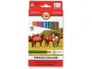 Kredki KOH-I-NOOR Triocolor 12 kolor�w