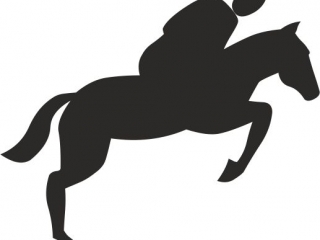 Naklejka na samoch�d je�dziec