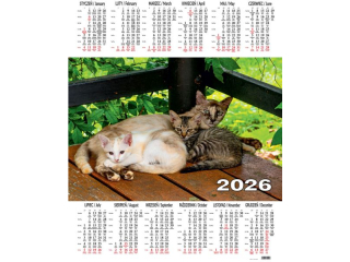 Kalendarz Jednoplanszowy BESKIDY P10 Koty 2026