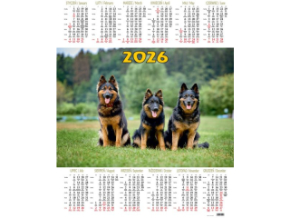 Kalendarz Jednoplanszowy BESKIDY P11 Psy 2026