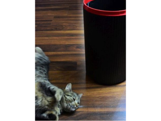 Stojak na parasole / kosz na �mieci HELIT