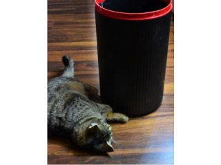 Stojak na parasole / kosz na �mieci HELIT