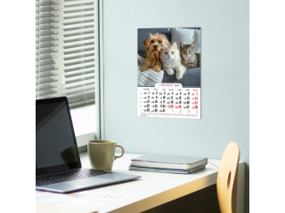 Kalendarz cienny O-PRESS A4 Milusiscy 2026