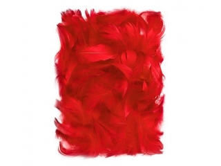 Pi�rka DPCRAFT 5-12cm 10g red