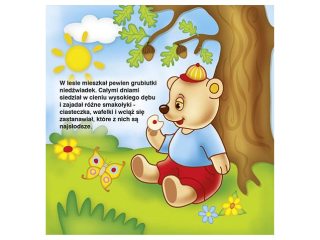 Ksi��eczka Sztywne strony - o MISIU