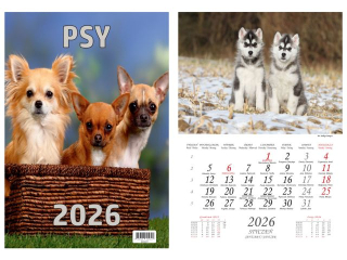 Kalendarz wieloplanszowy BESKIDY W07 13 zdjęciowy Psy 2026