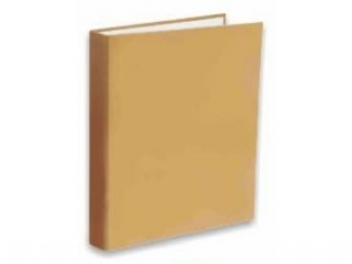 Segregator PENMATE A5/2 4cm - z�oty