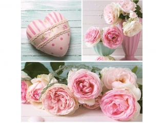 Serwetki MAKI og�lne 042301