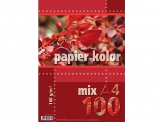 Papier ksero kolorowy A4 100k. KRESKA  mix 160g
