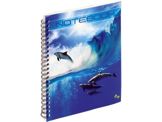 Ko�ozeszyt A5 50k. GRAND kratka