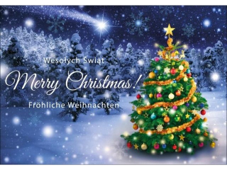 Kartka witeczna PAN DRAGON K.B6-1625 Choinka w zimowej scenerii