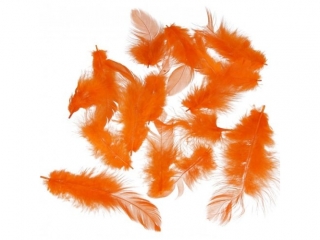 Pi�rka PAULA 10g pomara�czowe ciemne