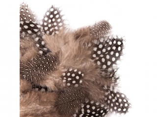 Pi�rka przepi�rcze DPCRAFT 5-12 cm, 5 g