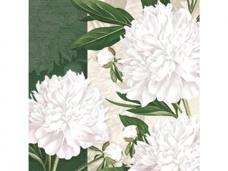 Serwetki MAKI og�lne 051601