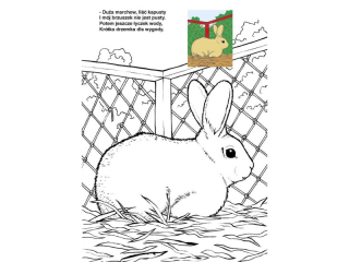 Kolorowanka KRZESIEK A4 16k. Zwierz�ta wok� nas mix