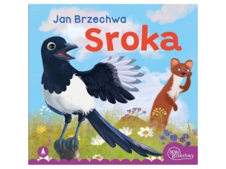 Ksi��eczka SKRZAT Bajki Brzechwy - Sroka