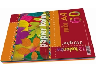 Papier ksero kolorowy A4 60k. KRESKA mix 12kol 210g