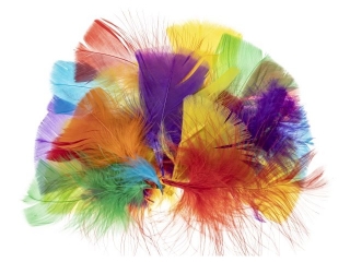 Pi�rka indycze tr�jk�tne mix PI4