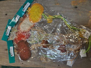 Jab�ko ma�e  z przywieszkami K10-117