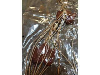 Jab�ko ma�e  z przywieszkami K10-117