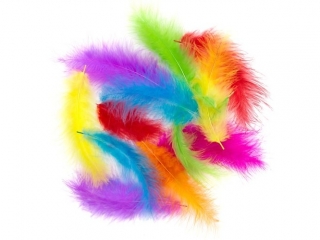 Pi�ra indycze DPCRAFT 10-15 cm, 30 szt. Brights