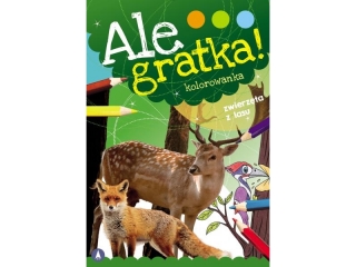 Kolorowanka SKRZAT Ale gratka! - Zwierzęta z lasu