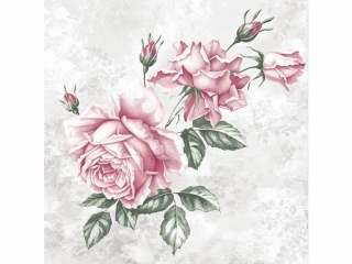 Serwetki MAKI og�lne 051801