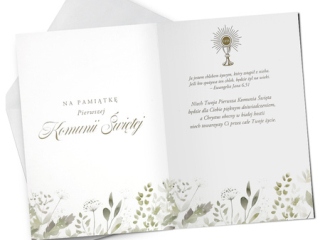 Kartki karnet PAN DRAGON STAR-149