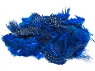 Pi�rka BREWIS nakrapiane 3g PN3-2 niebieskie