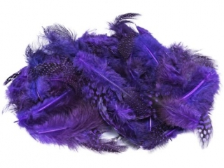 Pi�rka BREWIS nakrapiane 3g PN3-7 fioletowy