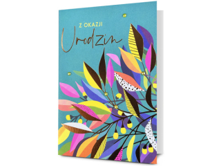 Kartki karnet PAN DRAGON  HM 200-3459  Urodziny