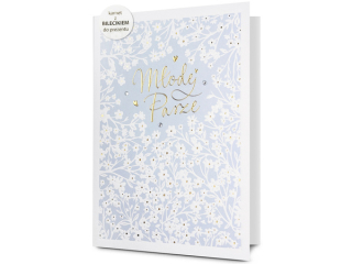 Kartki karnet PAN DRAGON HMSET 2-02 �lub + etui na pieni�dze