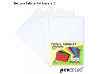 Tektura falista PENWORD A4 5ark. - bia�a