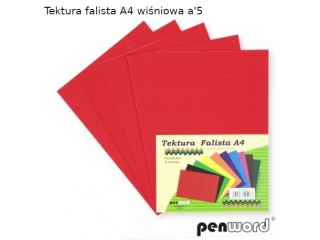 Tektura falista PENWORD A4 5ark. - wi�niowa