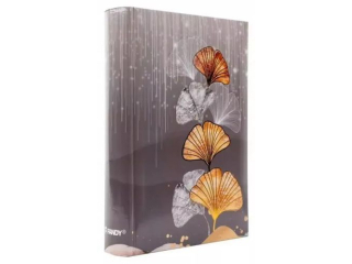 Album foto 10x15 - 200 B-46200S Ginko 1