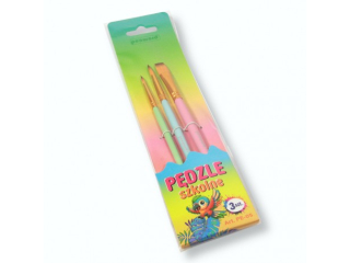 PDZLE SZKOLNE PE-05 a3