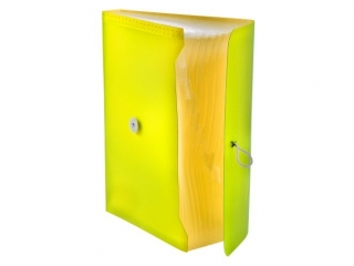 Teczka harmonijkowa PP TETIS z gumk� 13 przegr�d A4 ��ta