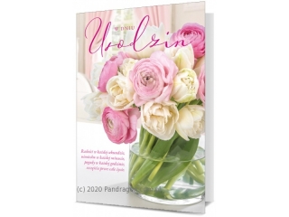 Kartki karnet B6 K - 1854 Urodziny