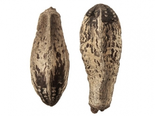 Mahoniowe str�ki DPCRAFT 2 szt.