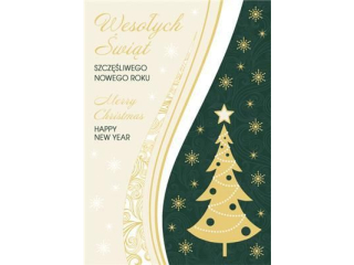 Laurka firmowa B6F 117x167 z kopert  POL-MAK GWIAZDKA B6F_GWSW_61008