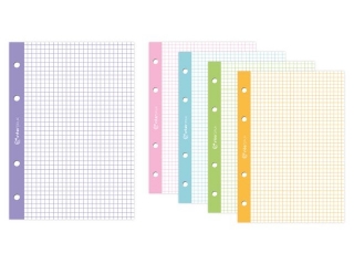 Wk�ad do segregatora INTERDRUK A4 50k. kratka kolor