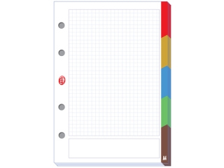 Wk�ad do segregatora INTERDRUK A4 50k. kratka LUX z kolorowy