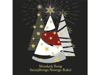 Laurka kwadrat firmowa LKF 150x150 mm z kopert  POL-MAK GWIAZDKA LKF_GWSW_58596  [opakowanie=25szt]